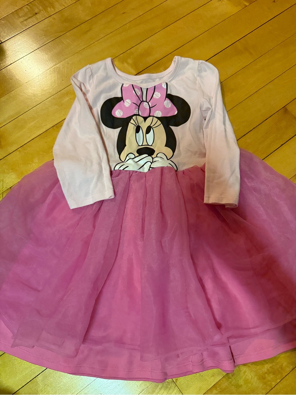 Disney Minnie Mouse Pink Long-Sleeve Tulle Dress